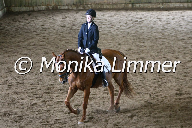 006M4449_Dressur E.JPG